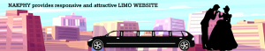 Limo Website Design