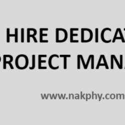 Hire Dedicated Project Manager