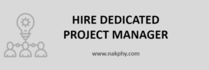 Hire Dedicated Project Manager